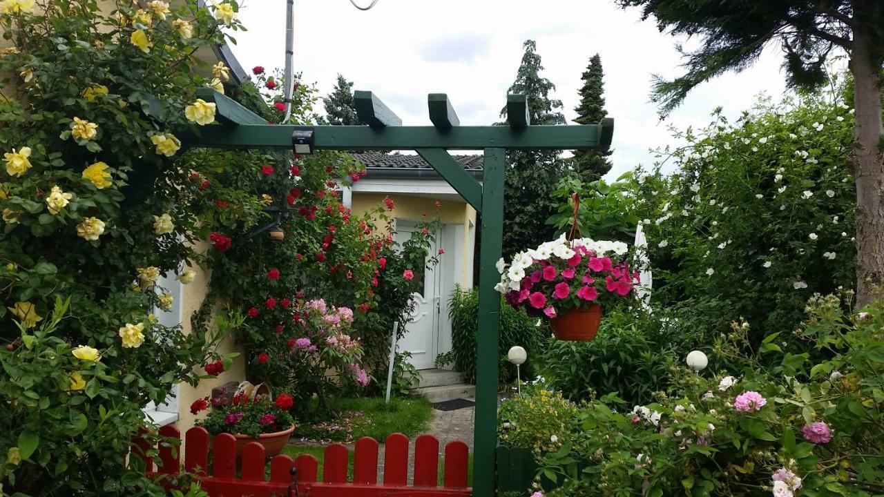 הרינגסדורף Haus Sandra מראה חיצוני תמונה